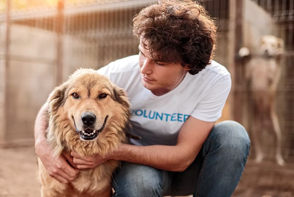 Anderson Humane Background